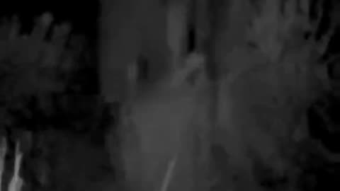 😱👻 This is Super Creepy... Unsettling Footage Caught on Camera! | TheHauntingHour