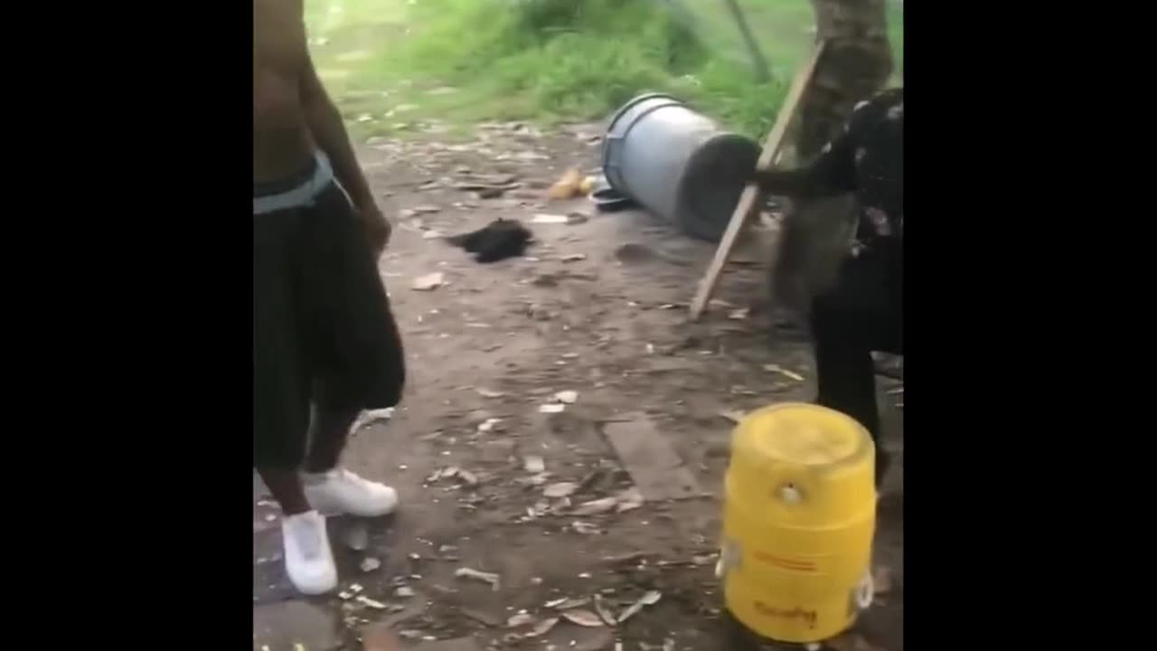 Fight Compilation (9/28/2025)