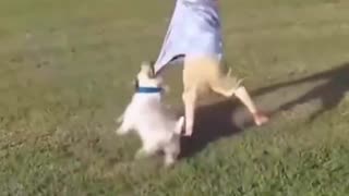 Dog = Best Friend