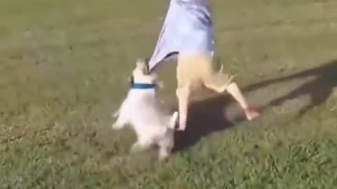Dog = Best Friend