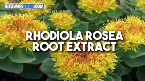 IW Archives 2019 Sep 05