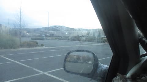 Thinking About My Brother Mark. 11/19/2025.