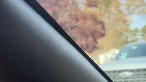 A Loud Latina tails DHS agents and after one of the CBP politely tells her to stop following,