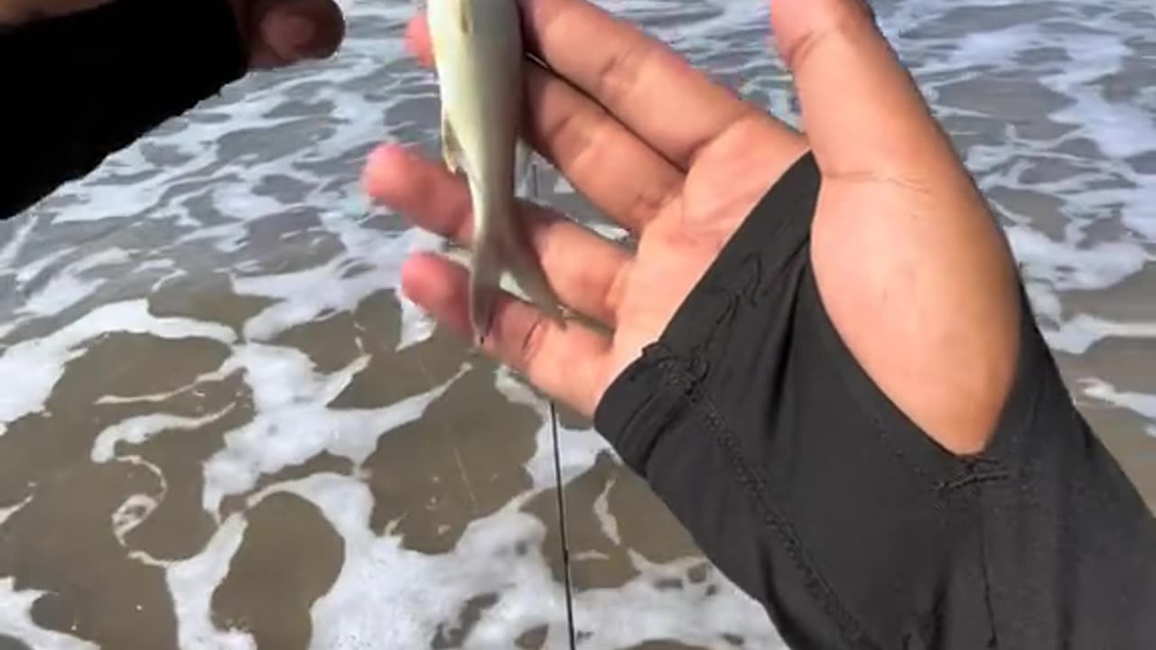 "Beginner Tries Fishing for the First Time | Hilarious & Unexpected!"
