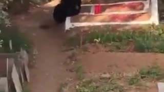 Karimnagar Tragedy: Daughter Sleeps at Cremation Ground for 3 Days After Mother’s Death