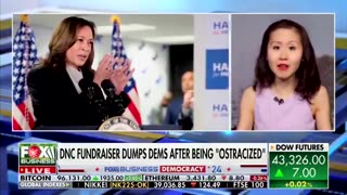 Former Kamala Harris Fundraiser Slams Vice President for Misusing Donor Funds