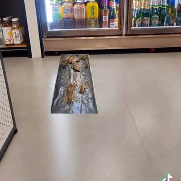 Armadilha para Ratos