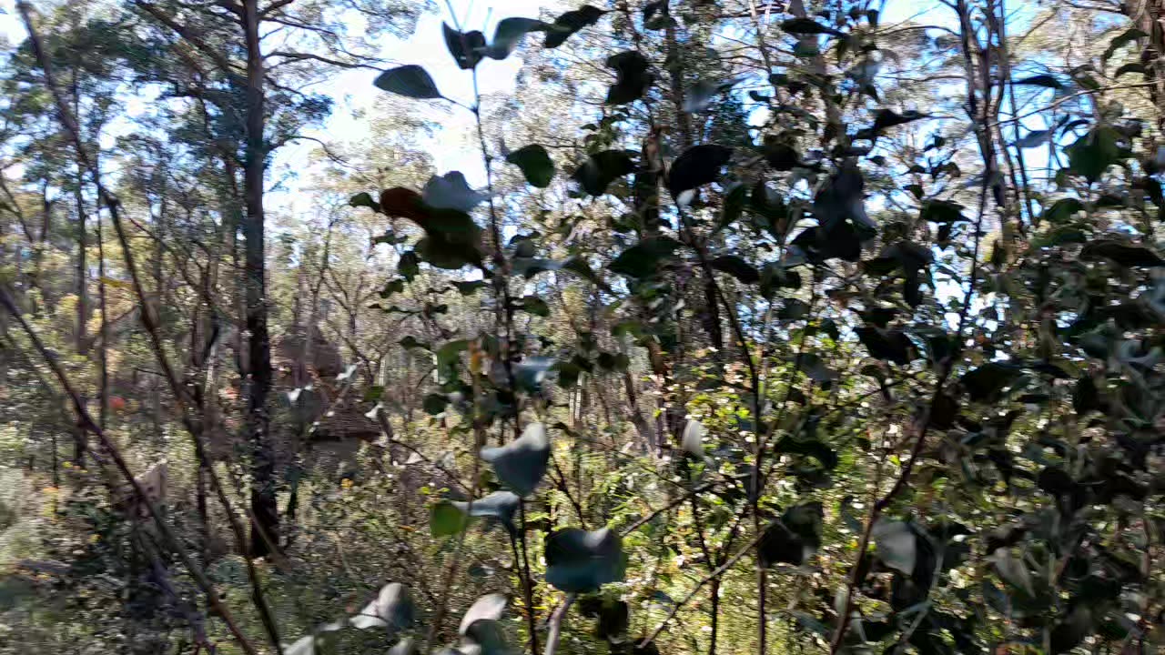 Creepy sounds while hiking solo