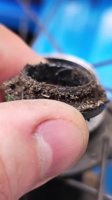 What a neglected bike wheel hub looks like after years without maintenance.