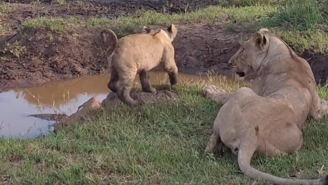 Told you to be careful near edge of water