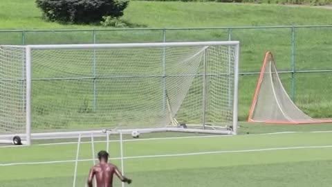 The Definition Of A Perfect Goal