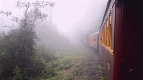 [009] Rio Negrinho, Santa Catarina, Brasil - ‎14‎ de ‎outubro‎ de ‎2017