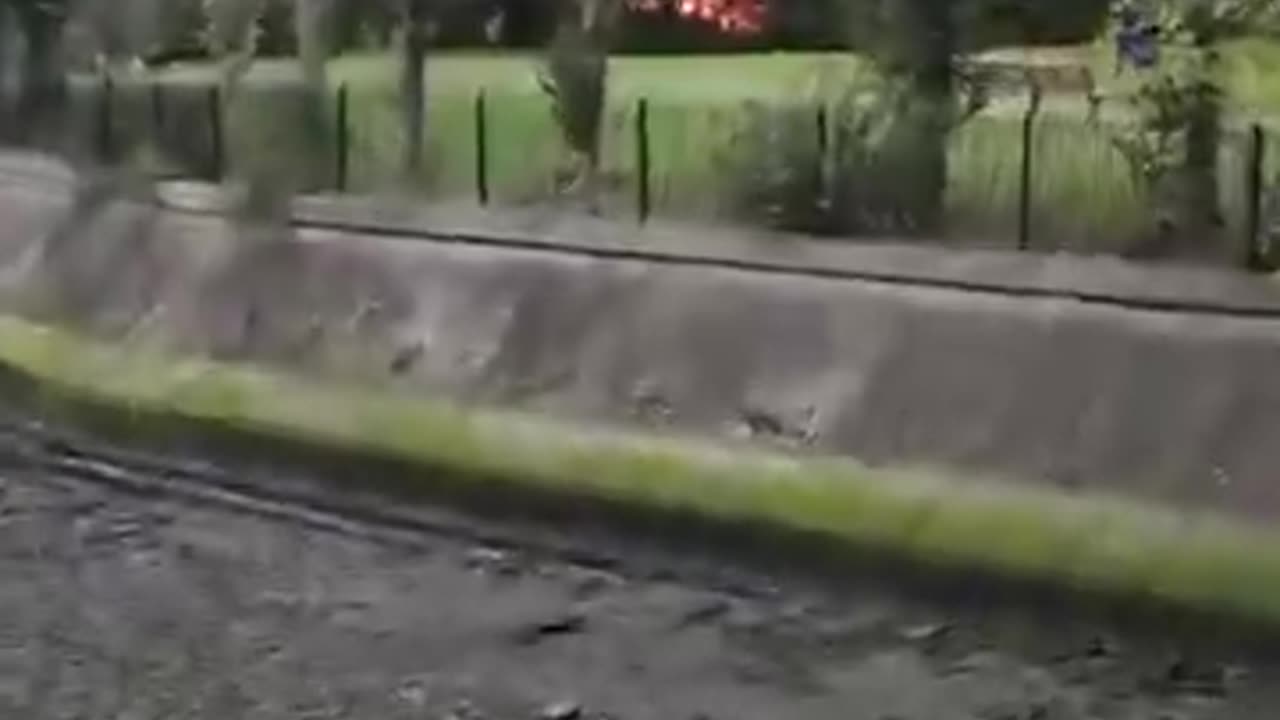 Dublin A illegal migrant camp has been set aflame in East Wall.