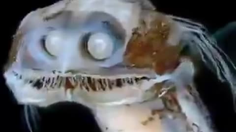 Deep Sea Alien