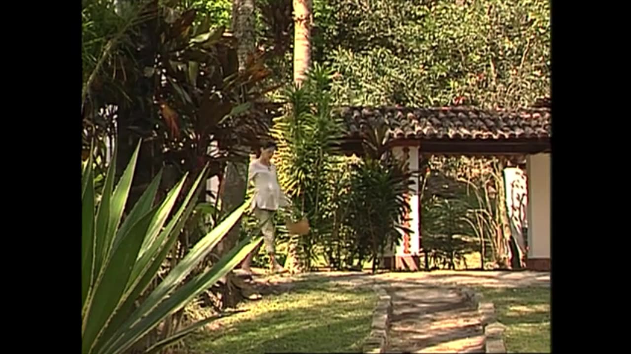 Canavial de Paixões Capítulo 14