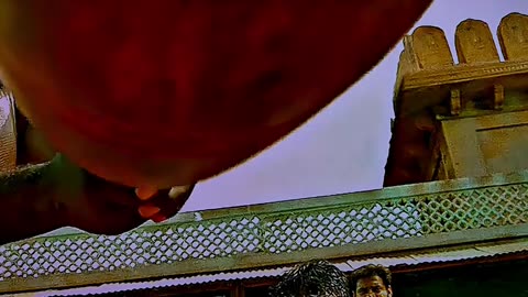 Best action scene of sarrainodu