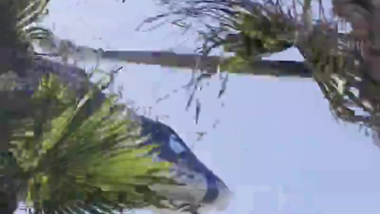 Helicopter crash in Huntington Beach, California.