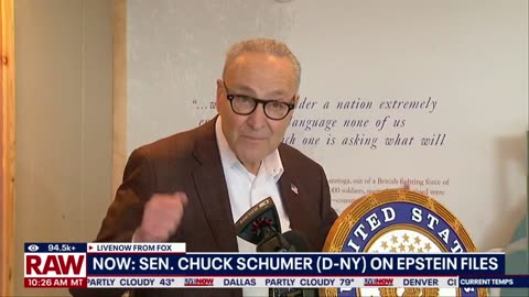 Schumer Makes a Fool of Himself Over Epstein Files