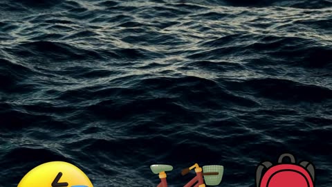 “World Leaders vs Real-Life Moments — Comedy Mode ON!” 😂🌍