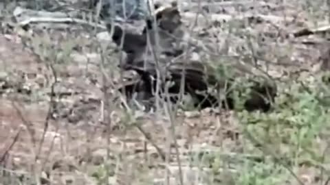 👻What is That Thing? GhostlyTokSA's Spooky Encounter | TheHauntingHour