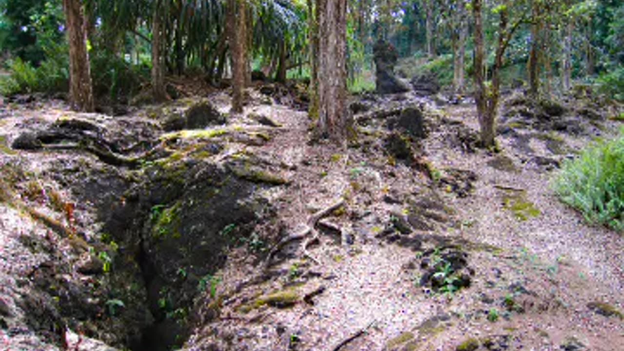 lava tree state monument