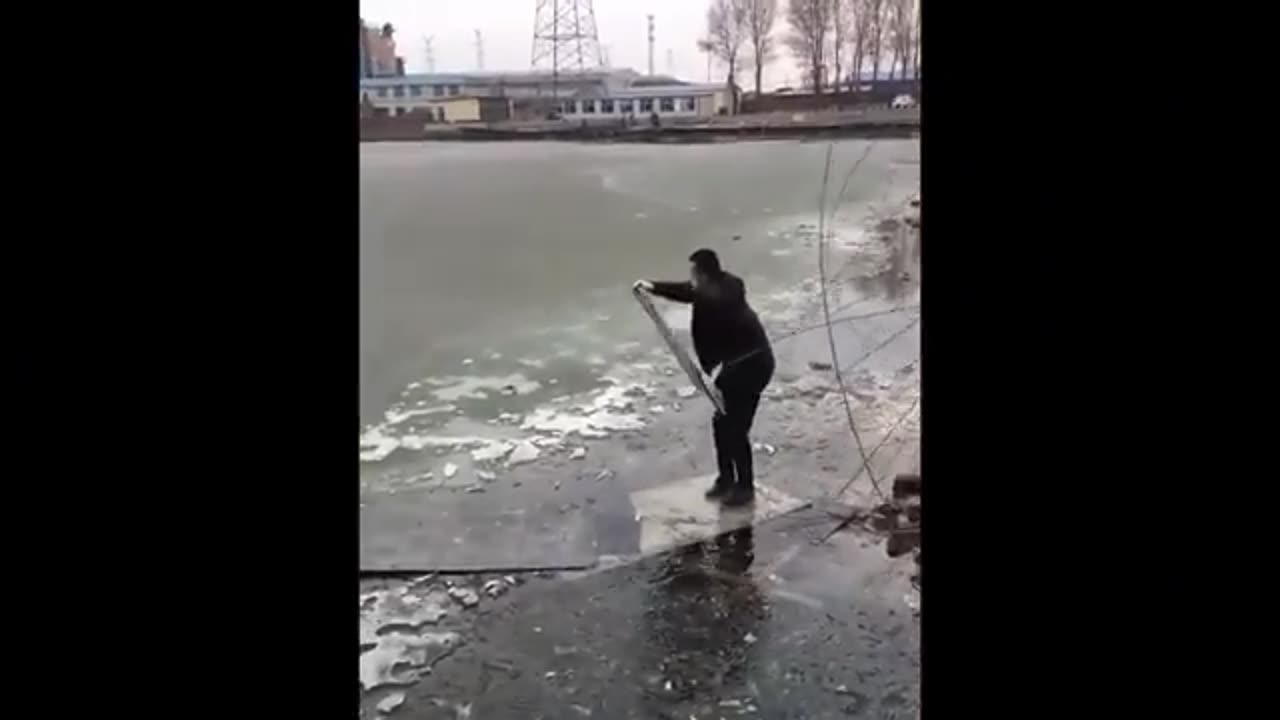 Funny cute animals video 😹😂