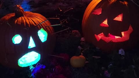 Happy Halloween 2025 from Skunk Hollow Rose Gardens Michigan