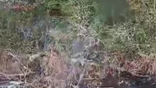 🤖🔫 Ukraine Russia War | Ground Drone Guns Down Russian Forces in Donetsk | RCF