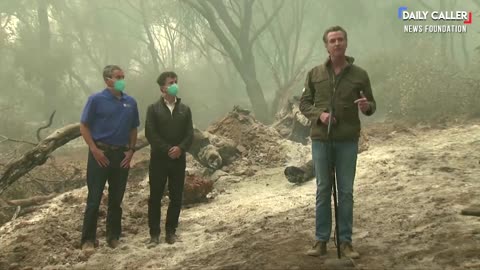 FLASHBACK: Trump WARNED California Governor About Forest Fires