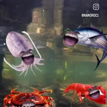 "When You Realize Your Pet Is Smarter Than You"