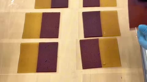 two-color yokan cake