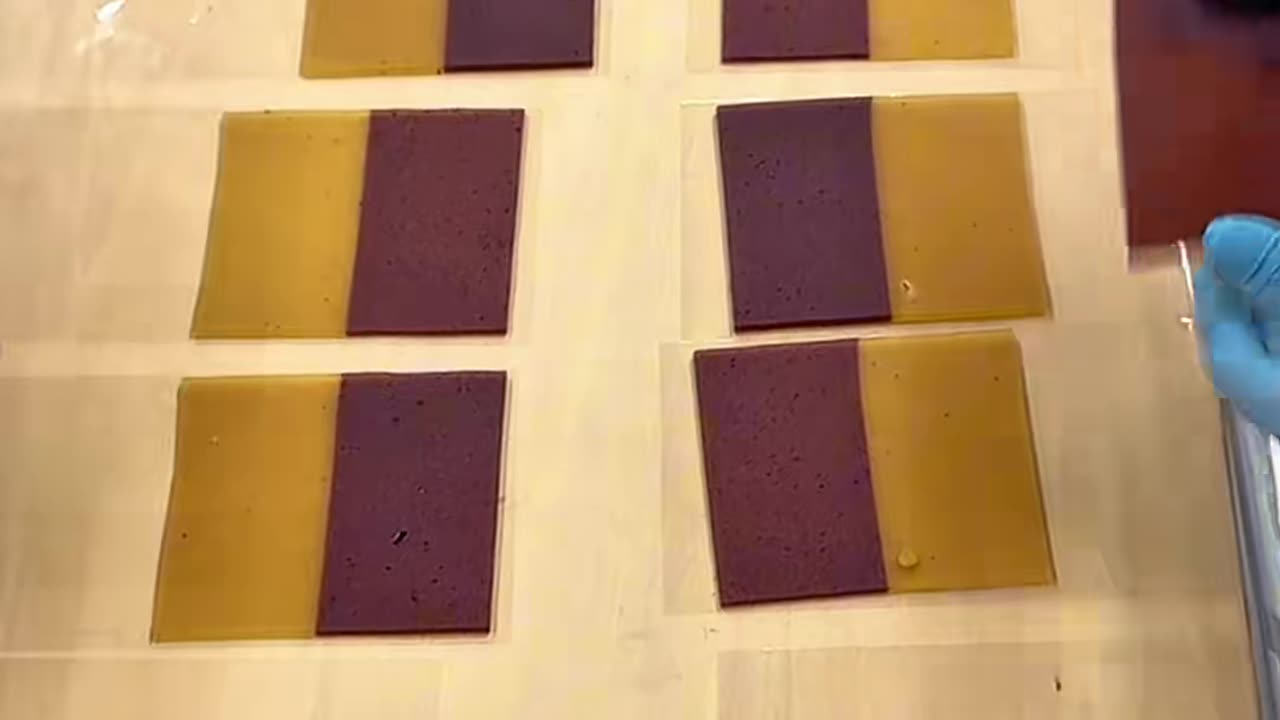 two-color yokan cake