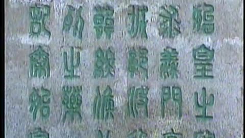 China Central TV CCTV3 September 11, 2001 1130am-1200pm CST