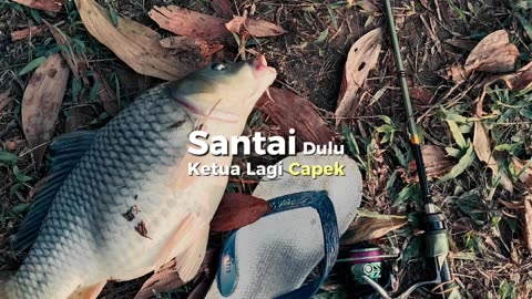 Big Catch! Monster Fish Hooked! 🔥🎣