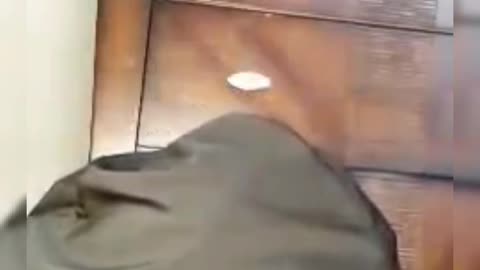 💠Night 🌃 time discussion with Extraterrestrials