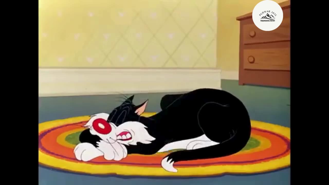 Classic Pussy Cat Antics: Nonstop Chuckles! Part - 2