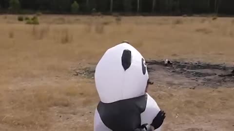 If animals did Parkour