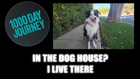 1000 Day Journey 0844 In the Dog House? I Live in the Dog House!