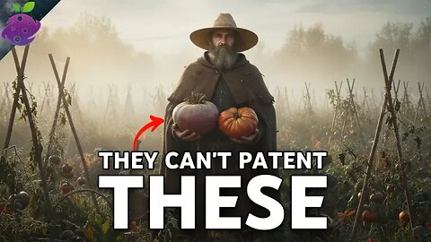 Big Agriculture BURIED These 20 Vegetables (They're 10x Stronger Than GMOs)