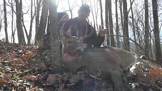 9 Pt Buck! November Bowhunting! #subscribe #archery #deer #fall #nature #hunting #outdoors #trending