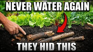 The “Lazy” Garden That Waters Itself For 20 Years (Video)