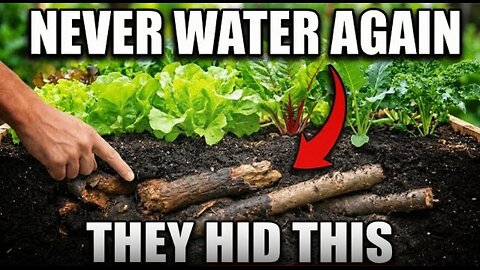 The "Lazy" Garden That Waters Itself For 20 Years