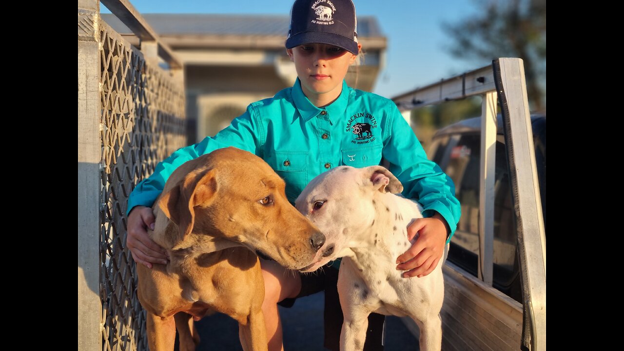 Harvest season in the cane!!