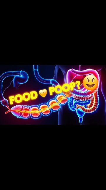 How Your Body Turns Food Into Poop 💩😳 (3D Digestive Journey Explained!)