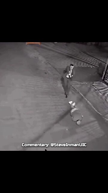 Armed robber is taken out immediately