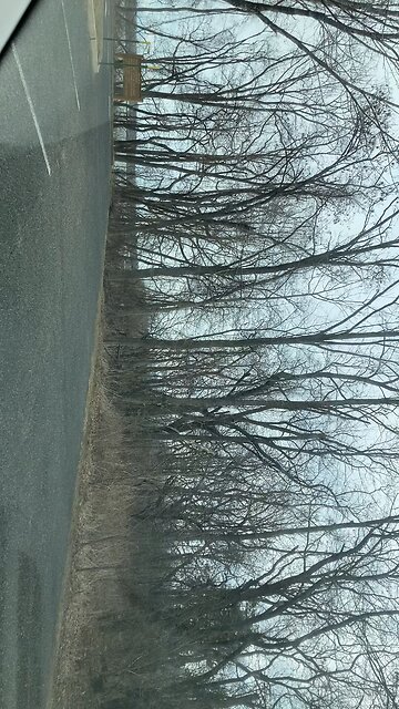 Manasquan Reservoir… just arrived