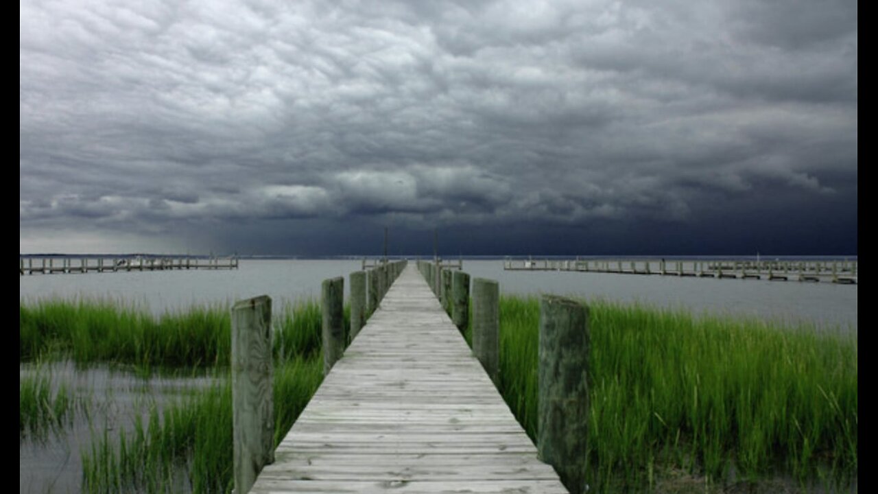 This All Precipitates War, People