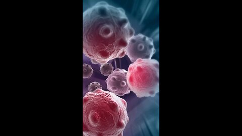 TOP 10 CANCER FIGHTING FOOD