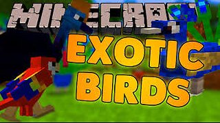 Minecraft Exotic Birds tocans Parrots & Magpies Mod Showcase!