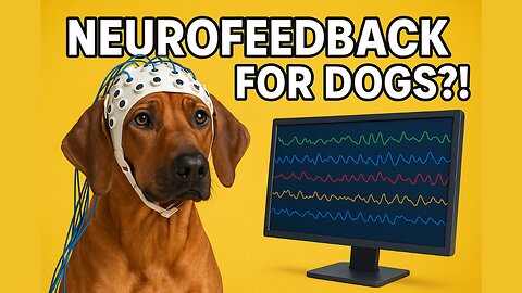 🎙️ Neurofeedback for Dogs?! 🐶☕ Caffeine & OCD Phenotypes | NeuroNoodle Podcast